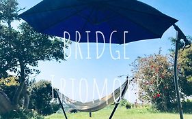Bridge 西表島